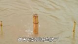 这味道，真酸爽