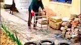 老奶奶行动不便，狗狗跑过来清除过道障碍物