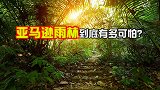 世界上最大的热带雨林，为何是人类禁区？亚马逊河里究竟有什么？