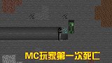 MC死亡方式，第一次最难忘记，数千万玩家丧生于同种生物