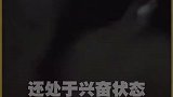 人为什么会做梦？