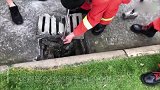 临考前一考生身份证不慎掉入排水沟 消防及时赶到28秒取出