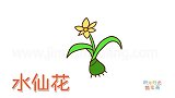 植物简笔画大全，画一朵水仙花简笔画