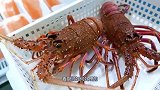 日本街头美食粉红龙虾，个头小巧可爱，做成的刺身却非常美味