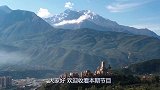湖南山村发现一只“四不像”，专家看后大吃一惊：立即封锁村庄！