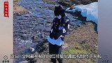 可爱屁又凶又萌走红，露脸福利引爆全网，撞脸赵本山女儿