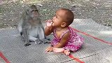 看到有陌生人要抱主人的孩子，猴子抱起宝宝就走，太有责任心了