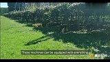 牧羊犬事业危机！波士顿动力机器狗全自动放羊，还能干农活