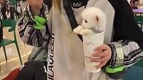 天啊，他怎么送我一只狗狗啊？