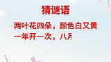 猜谜语：两叶花四朵，颜色白又黄，一年开一次，八月放异香！