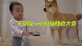 宝爸正在训练狗子，萌娃非要加入练得非常开心