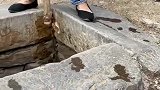 这都什么年代了，农村还要这样挑水，女人嫁到这只能受苦吧！