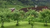 挪威小山村的生活场景