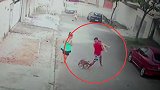 惊险！恶犬疯狂撕咬4岁男孩 男子冒险赤手搏斗搭救