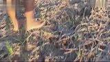 干旱的地里竟然长出了活鱼，男子一看，发现赚大发了
