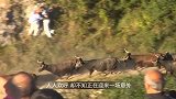 山崖下传来“血腥味”，探清后，全村人都来帮忙！