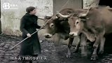 一战珍贵录像，战争让太多妇女成寡妇，一位妻子刚失去20岁丈夫