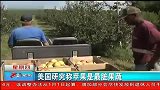 健康-20130528-美国称苹果是最肮脏果蔬 99％含有农药残余