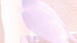 在给鸽子起名字这块，网友们的脑洞真是一个比一个大……