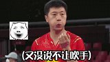 东京奥运会 马龙 乒乓球  马龙：不让吹球就吹手。哈哈哈哈哈