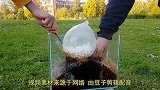 在马桶中制作可乐喷泉，会发生什么？下一秒神奇的事情发生了！
