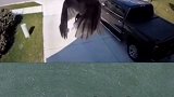 拍到的奇怪现象奇闻异事 稳住我们能赢