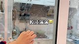 家庭清洁第二站，快速去除玻璃胶渍，陈年老胶全被擦得干干净净
