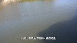 网上200块买抛网第一次下河捕鱼就有收获，有它晚餐才丰盛