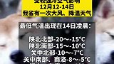 陕西紧急发布！局地大雪！最低-20℃！阵风7级！各位注意保暖啦～