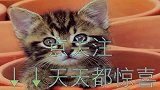 钟南山给自己家庭后代的两条家训, 看完你觉得实在中肯不