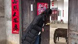 农村儿媳花140元做新发型，站门口不敢进家，怕被婆婆唠叨