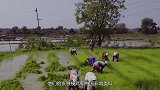 印度真的没有优点吗？别再被骗了，这几方面他们早已领先全球！