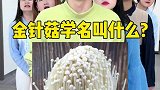 你知道它叫什么吗