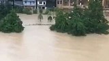 洪水横流，司机师傅把车开上体育馆台阶，躲过一劫！
