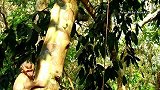 离开猴妈的阿尔巴被坏猴子欺负，把阿尔巴吓得屎都出来了