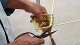 巧手爷爷给孙女编的玩具