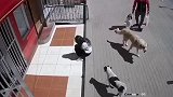 小姑娘：我是谁，我在哪？