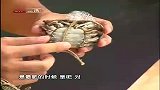 舌尖美食第7集：清蒸大闸蟹