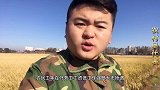 农民工常年务工，工资低工作强度大无所谓，只怕这三件事悔恨终生