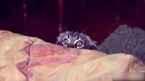 捕捉萌萌哒的小奶猫，真是太可爱了吧，想养一只哎！