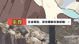 在谷底也要开花，在海底也要望月