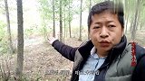 农村神秘野河放水，鱼群顶流乱窜，小伙绷竿钓鱼不用漂，场面过瘾