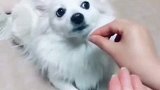 我一颗没吃着这都得怪你