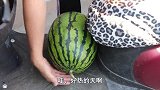 大彭馋猪蹄，做一份猪蹄焖黄豆，猪蹄软烂，啃起来真过瘾