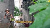 超小厨给父母换冰箱，老爸主厨包饺子，蘸红油配大蒜，吃起真安逸