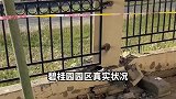 碧桂园的真实状况，不知道还以为是地震了呢
