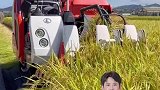 日本的收割机以半喂式为主，而中国的收割机则以全喂式为主