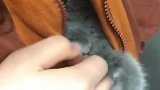 猫：快拉上，外面太冷！