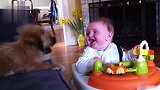 宝宝转头看到小狗，笑的超灿烂，太有感染力了