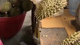 小伙子切开榴莲，过程简单粗暴不含糊，过去练过铁砂掌吧